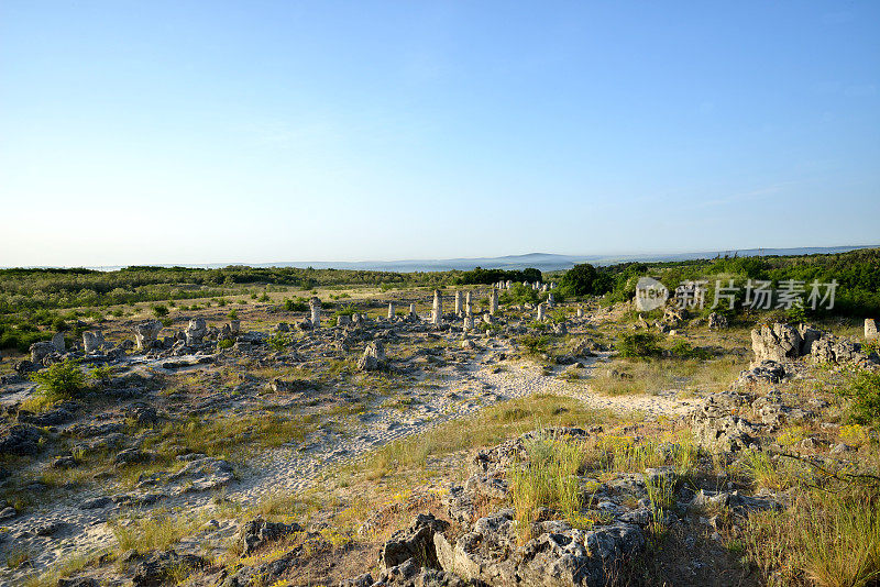 岩石现象Pobiti Kamani(石林)